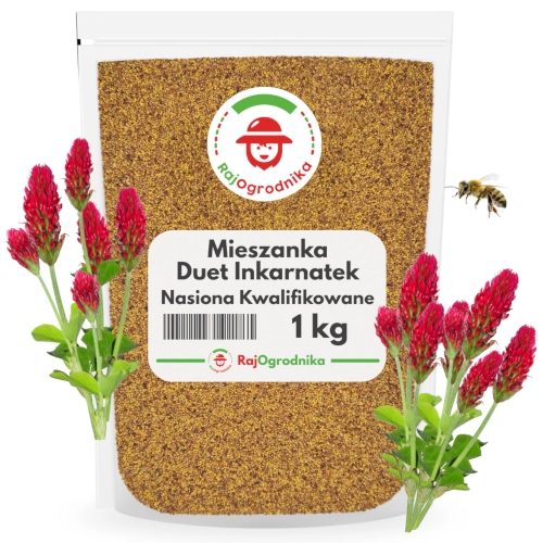 Mieszanka Duet Inkarnatek nasiona na poplon small sklep rajogrodnika